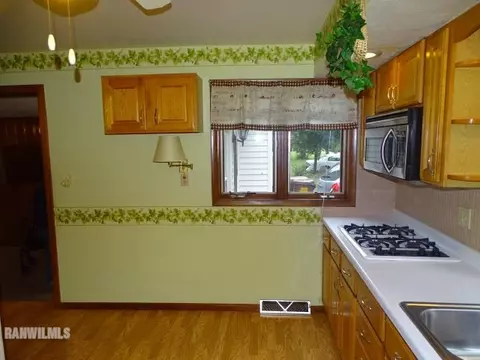 217 E Arch, Shannon, IL 61078 photo 5