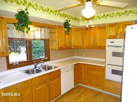 217 E Arch, Shannon, IL 61078 photo 4