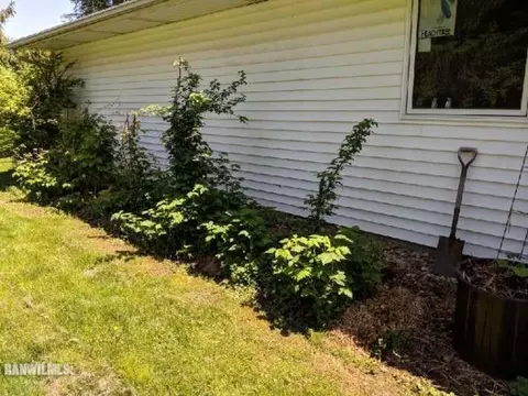 610 E Washington St, Mount Carroll, IL 61053 photo 23