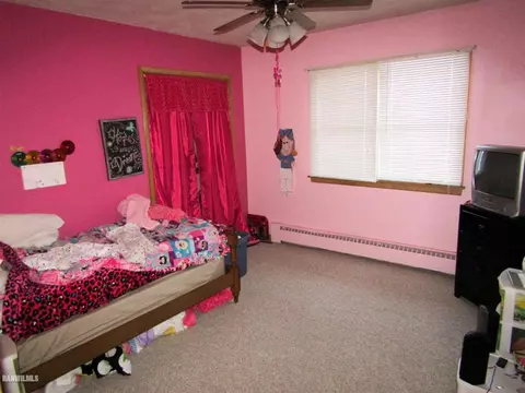 229 Marion Ave, Chadwick, IL 61014 photo 12