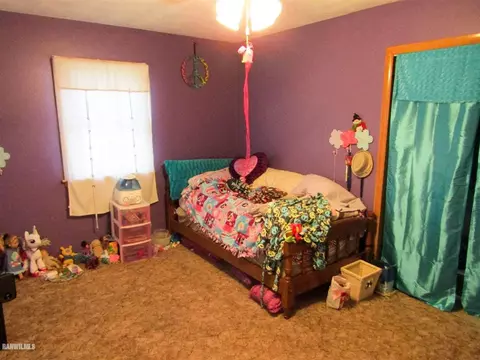 229 Marion Ave, Chadwick, IL 61014 photo 14