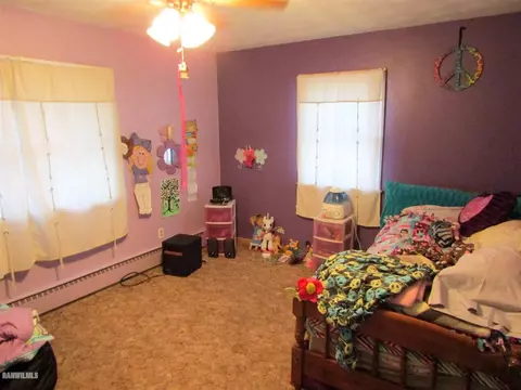 229 Marion Ave, Chadwick, IL 61014 photo 15