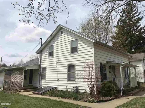 217 E Mason, Lena, IL 61048 photo 3
