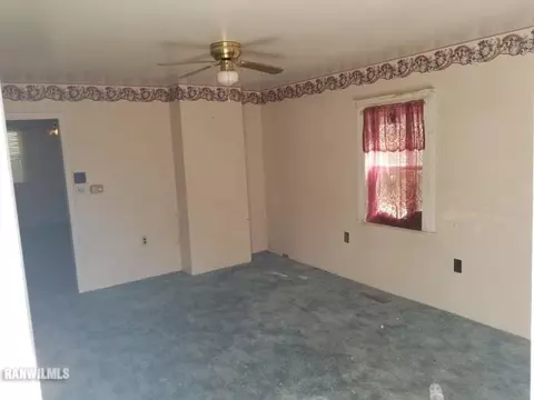 307 W Spring St, Mount Carroll, IL 61053 photo 3