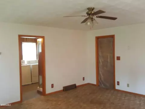 411 N Stanton, Davis, IL 61019 photo 12