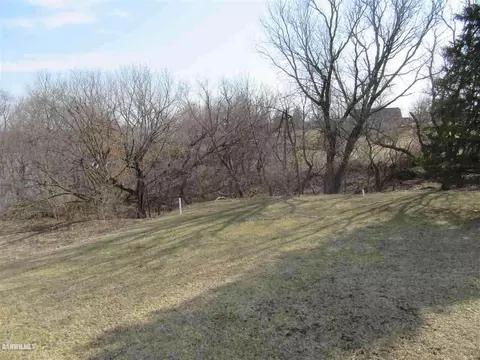17-178 Harbourview Dr, Lake Carroll, IL 61051 photo 5