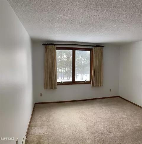 10635 Loop Rd, Savanna, IL 61074 photo 14