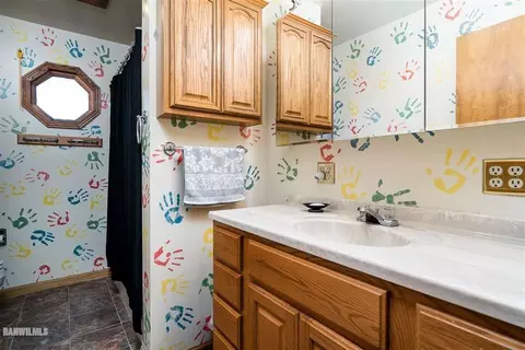 202 Blaine St, Leaf River, IL 61047 photo 18
