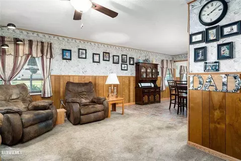 202 Blaine St, Leaf River, IL 61047 photo 8