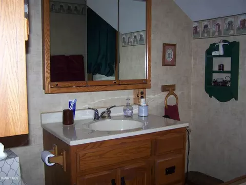 226 W Franklin St, Lanark, IL 61046 photo 16