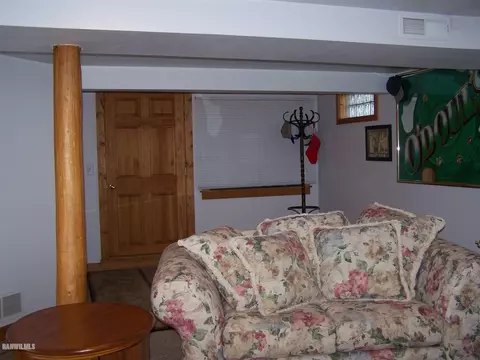 214 1st St, Chadwick, IL 61014 photo 14