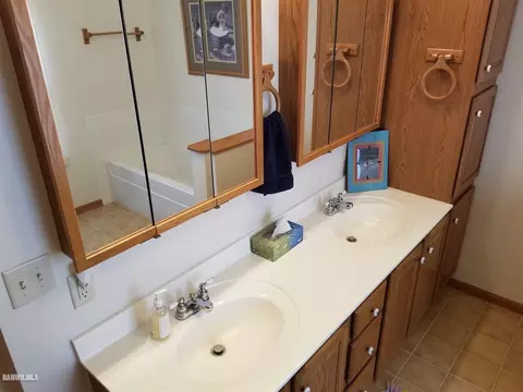 6 A8 Hampton, Apple River, IL 61001 photo 17