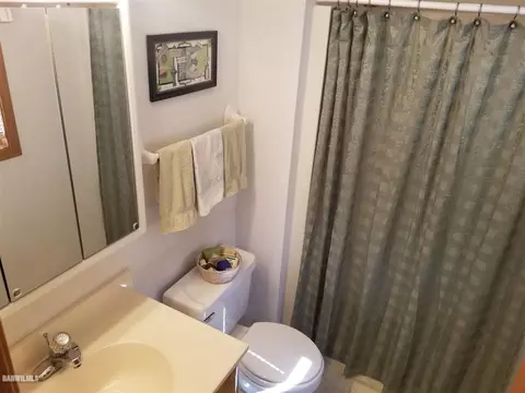 8 A73 Constitution, Apple River, IL 61001 photo 13