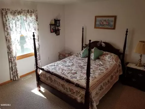 8 A73 Constitution, Apple River, IL 61001 photo 10