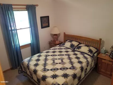 8 A73 Constitution, Apple River, IL 61001 photo 9