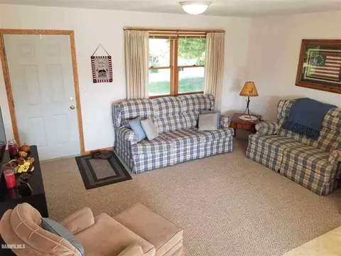 8 A73 Constitution, Apple River, IL 61001 photo 8