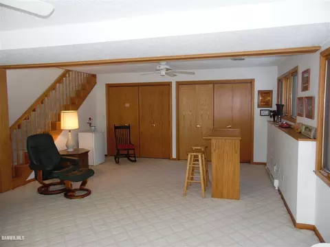 3 A66 General Lee Ct, Apple River, IL 61001 photo 13