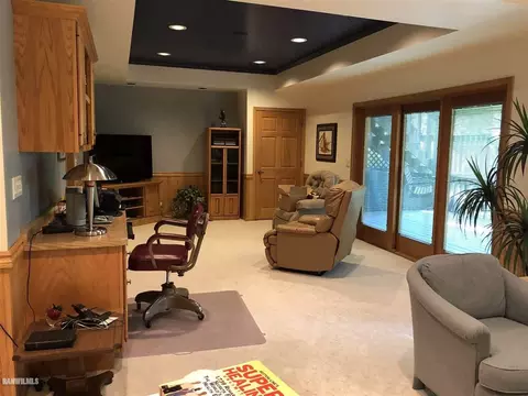 3-411 Whitetail Cir, Lanark, IL 61046 photo 31