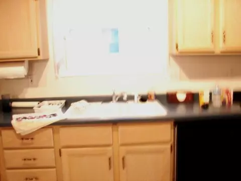 1005 Baxter Ln, Freeport, IL 61032 photo 9