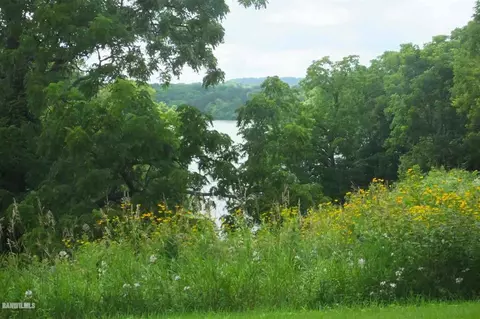 2 Long Bay Point Drive, Galena, IL 61036 photo 2