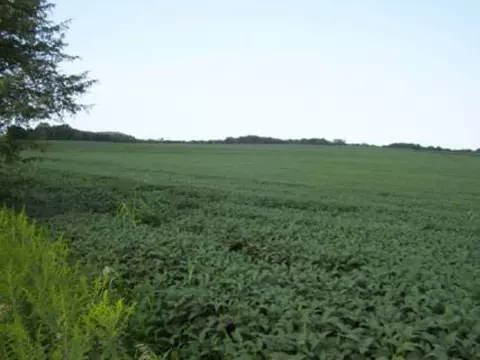 6808 E Canyon Rd, Apple River, IL 61001 photo 4