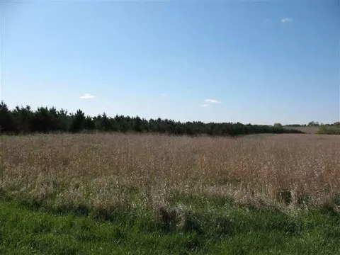 5893 Daggert Rd, Mount Carroll, IL 61053 photo 5
