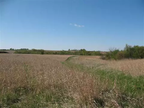 5893 Daggert Rd, Mount Carroll, IL 61053 photo 6