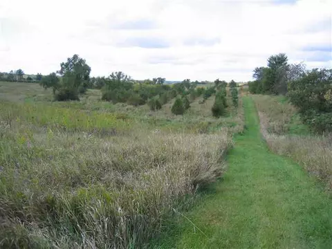 5893 Daggert Rd, Mount Carroll, IL 61053 photo 3