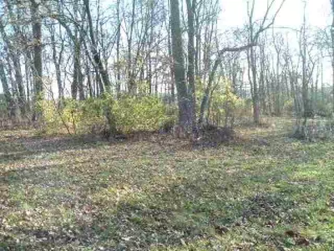 991 Winborne, Davis, IL 61019 photo 1