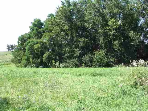 31208 Brookville Rd, Lanark, IL 61046 photo 2
