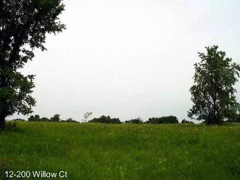 12-200 Willow Ct, Lake Carroll, IL 61046 photo 1