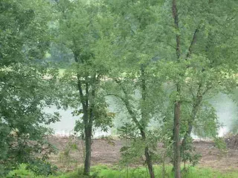 23-97 Brighton Ct, Lake Carroll, IL 61046 photo 4