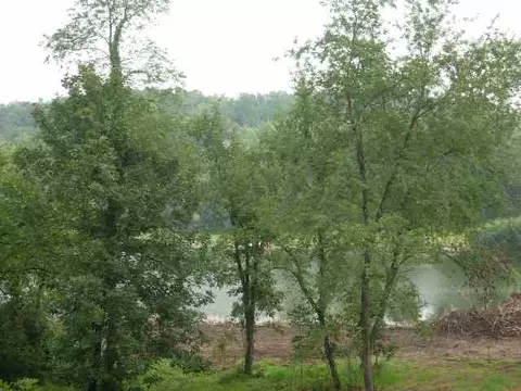 23-97 Brighton Ct, Lake Carroll, IL 61046 photo 3