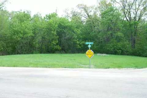1-153 Perry Ct, Lake Carroll, IL 61046 photo 3