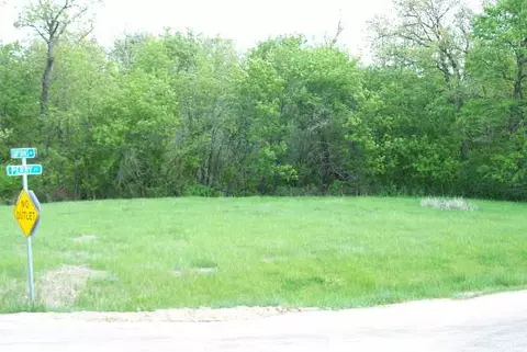 1-153 Perry Ct, Lake Carroll, IL 61046 photo 1