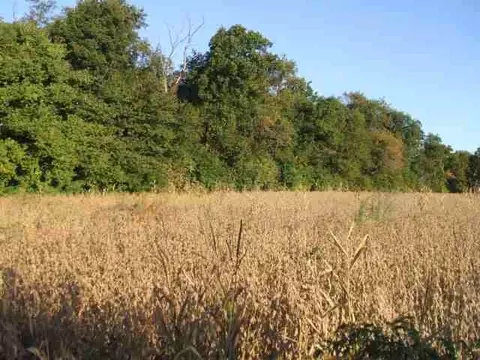4506 N Farwell Bridge Rd, Davis, IL 61019 photo 3