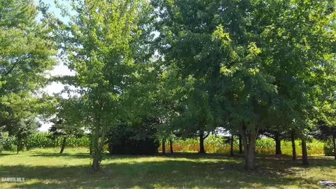 3979 Grandview Pl, Thomson, IL 61285 photo 7