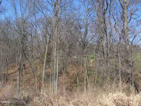 11764 E Charles Rd, Mount Carroll, IL 61053 photo 14