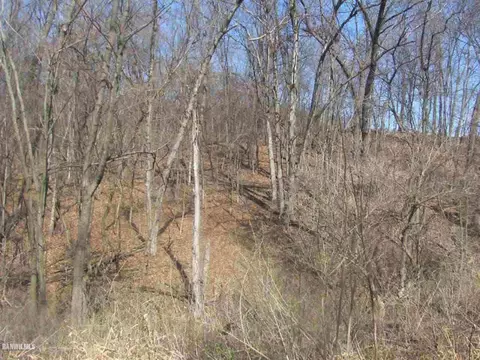 11764 E Charles Rd, Mount Carroll, IL 61053 photo 15