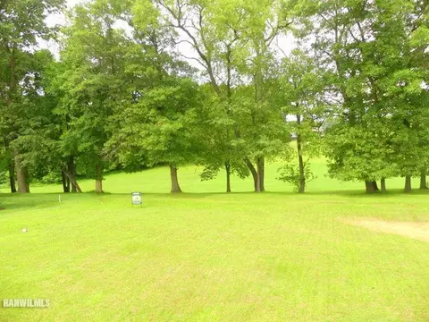2-247 R Westcrest Ct, Lake Carroll, IL 61046 photo 42