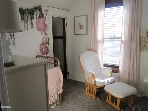 123 E Locust St, Lanark, IL 61046 photo 25