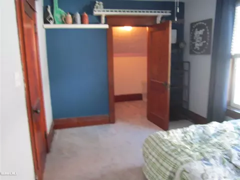 123 E Locust St, Lanark, IL 61046 photo 30