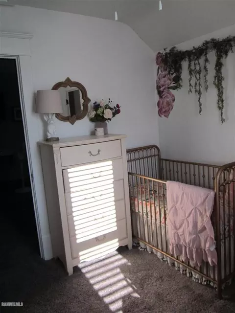 123 E Locust St, Lanark, IL 61046 photo 26