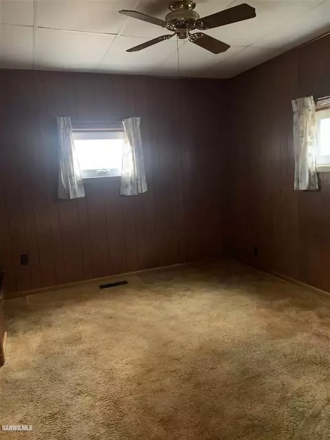806 Locust, Thomson, IL 61285 photo 10