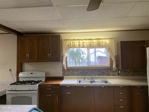 806 Locust, Thomson, IL 61285 photo 6