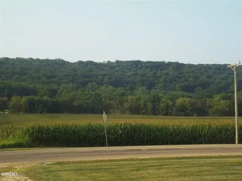 10256 E Willow Rd, Mount Carroll, IL 61053 photo 57