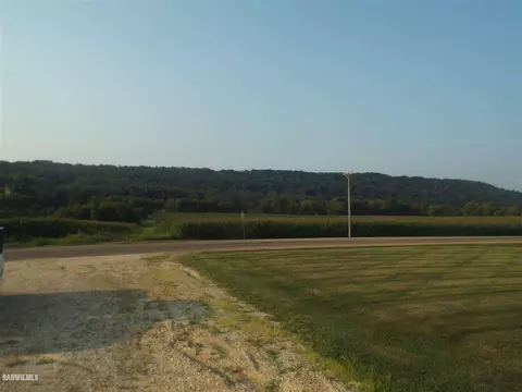 10256 E Willow Rd, Mount Carroll, IL 61053 photo 50