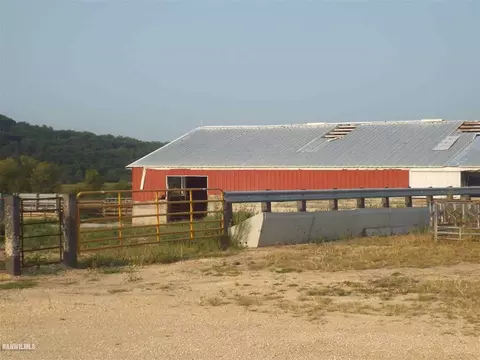 10256 E Willow Rd, Mount Carroll, IL 61053 photo 28