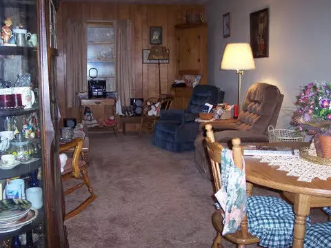 806 Main St S, Leaf River, IL 61047 photo 4