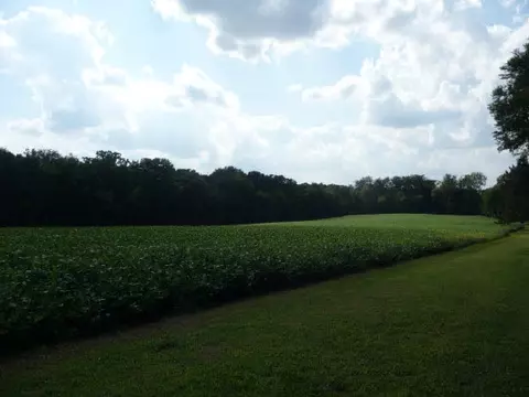 8558 Norris Ln, Capron, IL 61012 photo 10